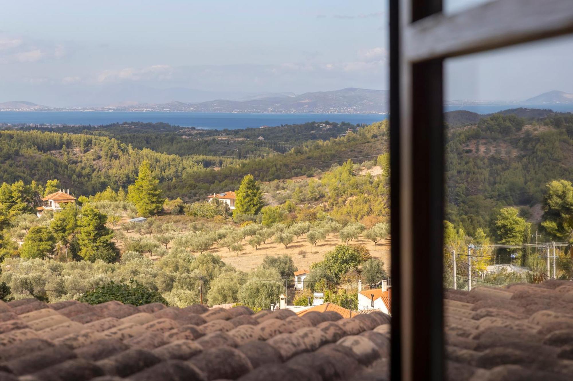 Villa Marrone Splendid Seaview Markopoulon Oropou 外观 照片